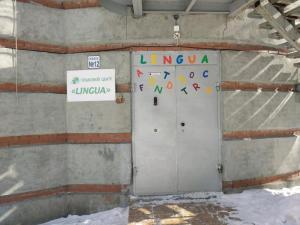 Фотография Lingua 2